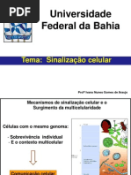 Sinalizacao Celular Nut.ppt