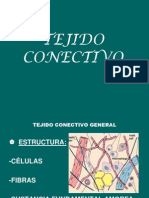 Tejido Conectivo