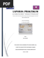 Download Laporan Uji Viabilitas Benih Dengan TZ by azkaAzzahra SN232789740 doc pdf