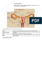 Anatomía Del Aparato Reproductor Femenino