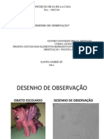 Apresentação Pratica Desenho de Observaçãoentregue