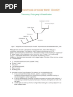 Download The Saccharomyces Cerevisiae World by ailee19 SN232813459 doc pdf