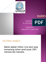 Rabies Ppt by Juliana
