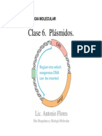 Clase 6 Plasmidos