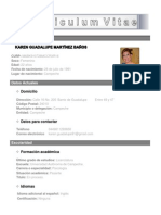 Curriculum Vitae Karen Martinez