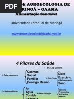 Agro Txico Sna Aliment a o