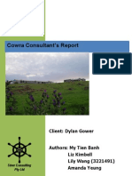 Cowra Consultant's Report: Client: Dylan Gower
