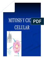 Ciclo Celular y Mitosis (Modo de Compatibilidad)