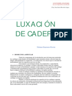 Lux Cad Era 2004