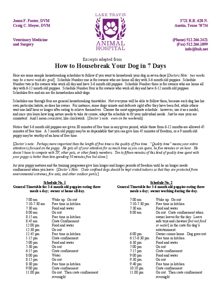 How To Housebreak Your Dog in 7 Days Excerpts Adapted From PDF Dogs Kitchen