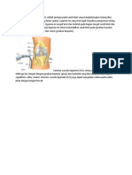 Anterior Cruciate Ligament