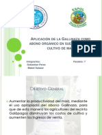 Diapositivas Gallinaza