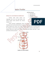 Sistem Pembuluh Daraf Perifer Nita