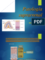 Expo Suprarrenal