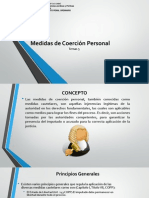 Medidas de Coercion Personal Lirio Falcon