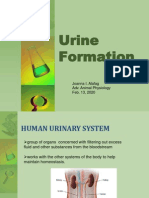 Urine Formation: Joanna I. Alafag Adv. Animal Physiology Feb. 13, 2020