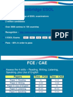 CAE-FCE Introduction 2012
