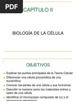 2.1.Historia de La Teoria