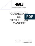 Guidelines Testiccancer