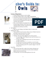 Dryer - Owl Teacher Resource Guide PDF