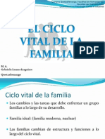 Ciclo Vital de La Familia 2014