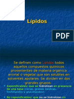 Lipidos - Bioquímica 