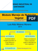 3. ALDO Manejo de Nutriciòn Vegetal 2014 FOTOSINTESIS