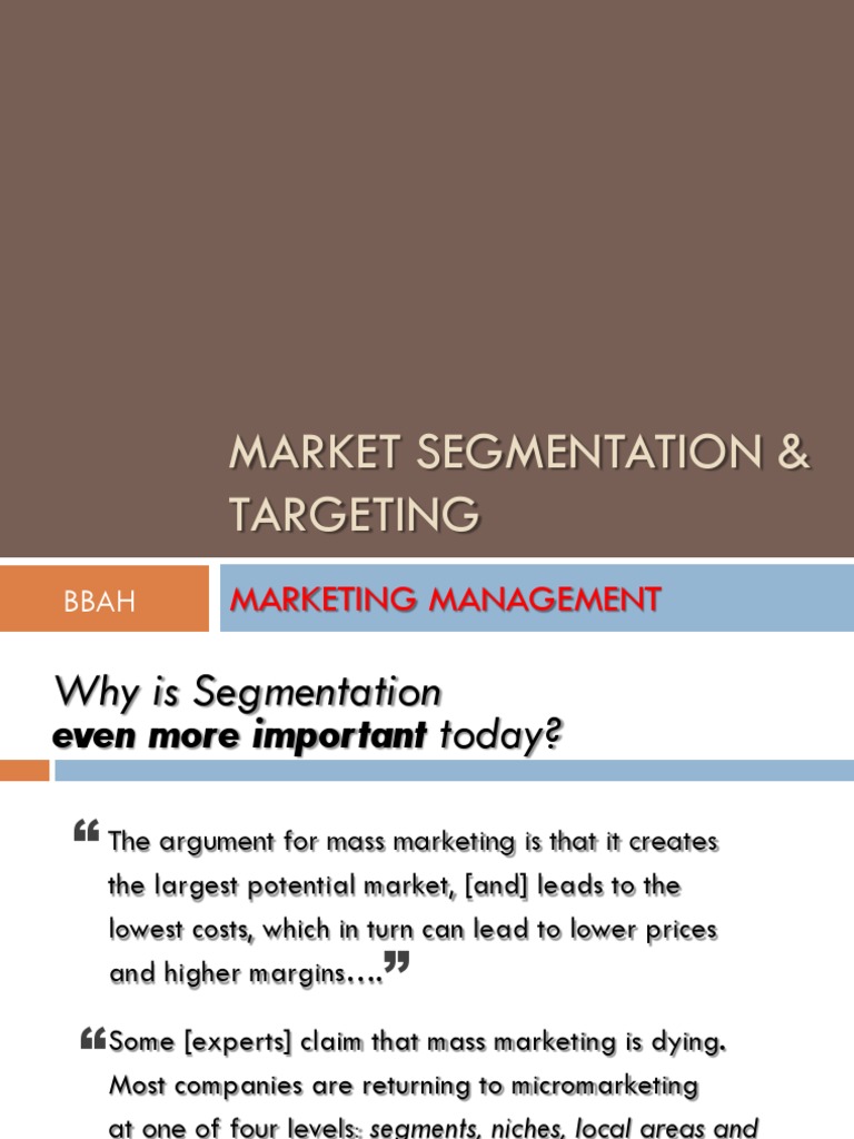 Market Segmentation Strategies Explained | PDF | Market Segmentation | Hsbc