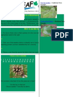 Leaf Identification PDF