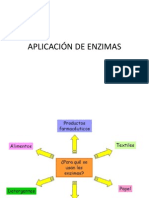 APLICACIÓN DE ENZIMAS.pptx