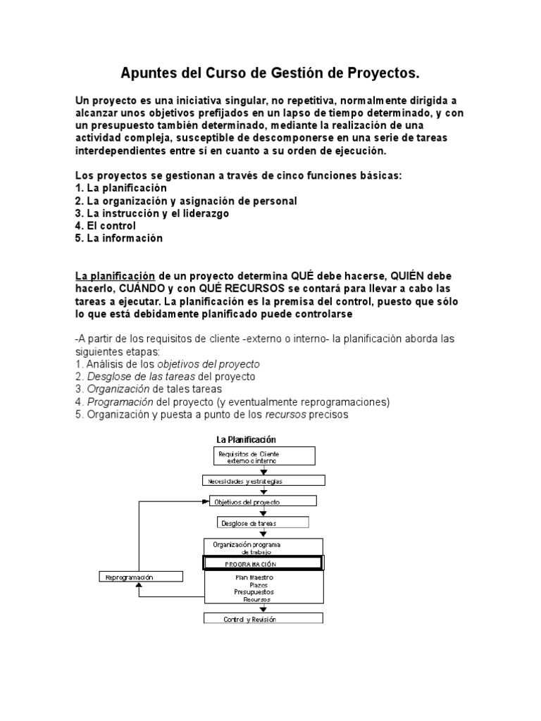 Guía Completa de Gestión de Proyectos | PDF | Matriz (Matemáticas ...