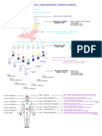 Formacao Dos 7 Raios Construtores