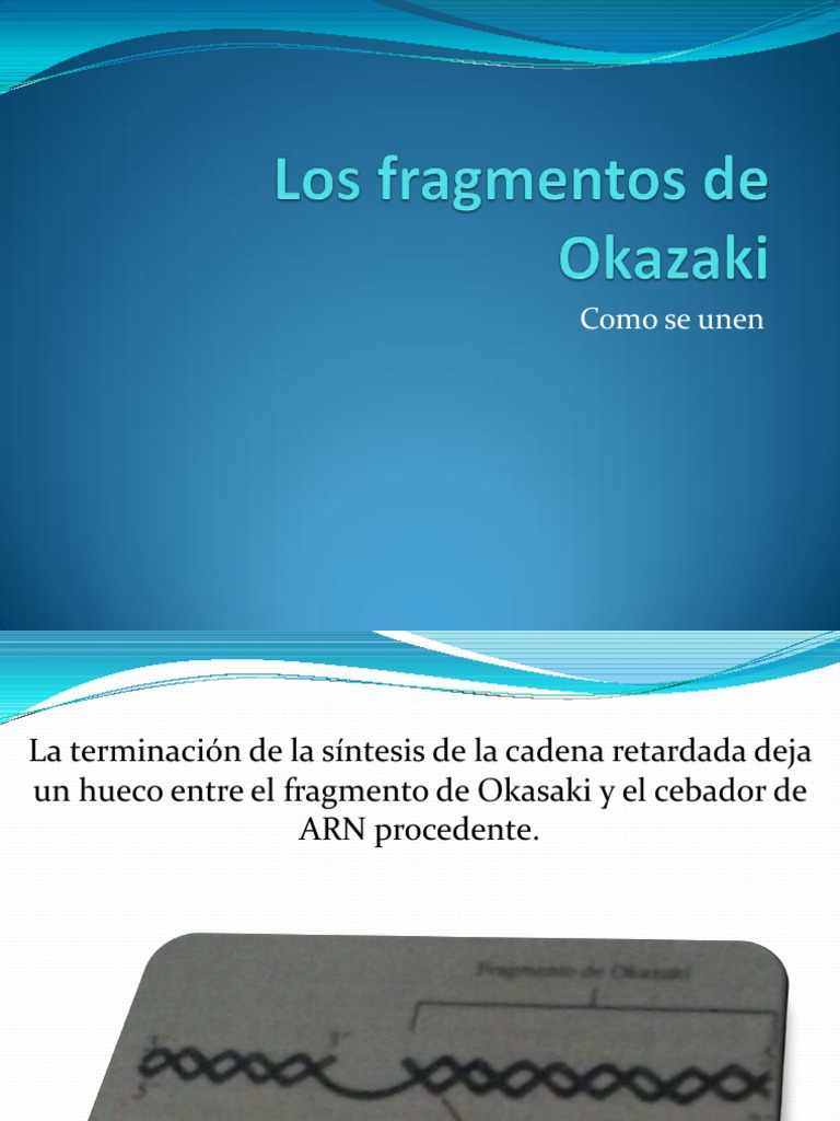 Los Fragmentos de Okazaki PDF