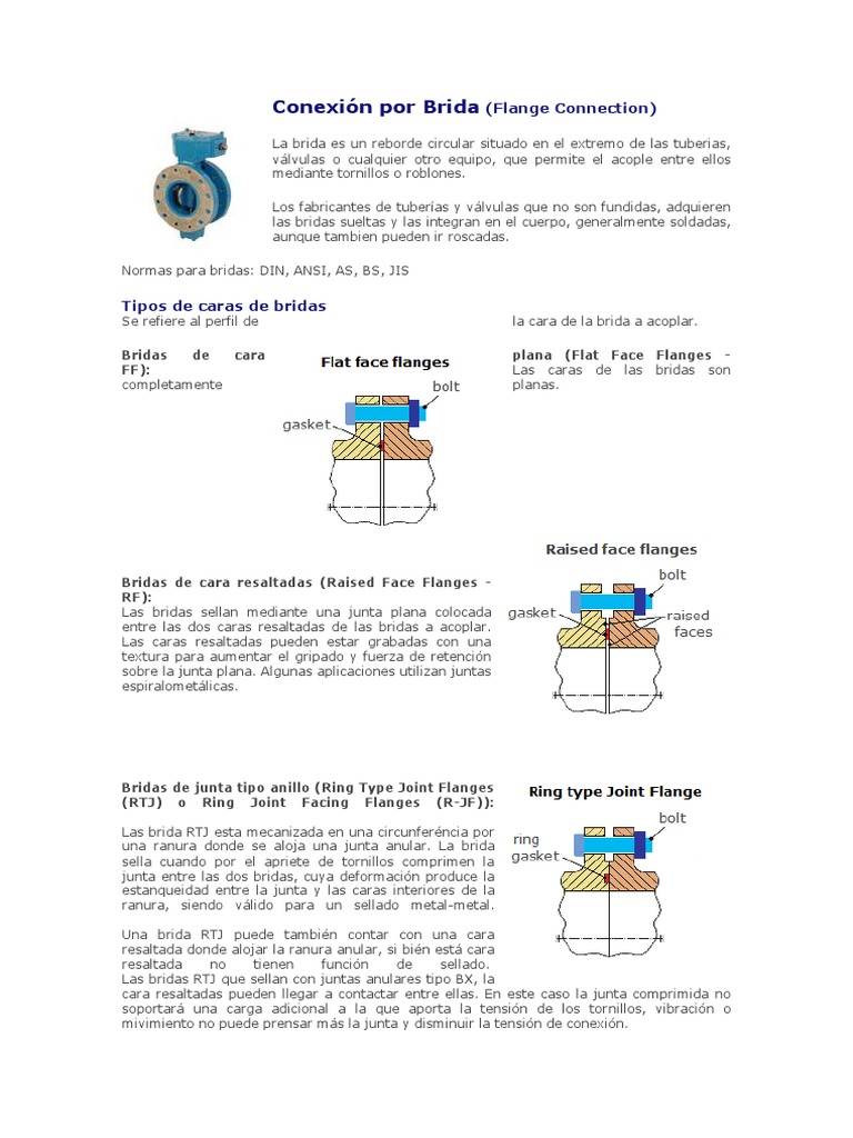 Tipos y Normas de Bridas en Conexiones | PDF | Tornillo | Acero