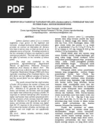 Download 7 Agrovigor Maret 2013 Vol 6 No 1 Respon Dua Varietas Tanaman Selada Catur Wasonowati Dkk by Dhenys Bagus Nugroho SN232991750 doc pdf