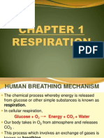 Chapter 1 Respiration