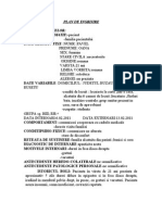 Plan-de-Ingrijire.pdf