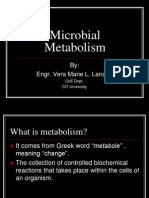 Microbial Metabolism: By: Engr. Vera Marie L. Lanaria