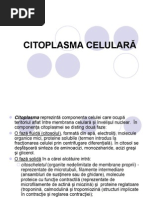 citoplasma celulara