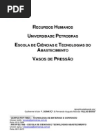 Vasos de Pressão - 2013 - Branca