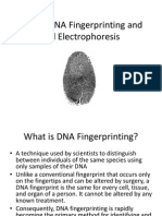 Lab 7 - DNA Fingerprinting and Gel Electrophoresis