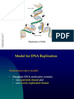 Molecular Biology 2