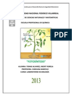 Informe de Fotosintesis