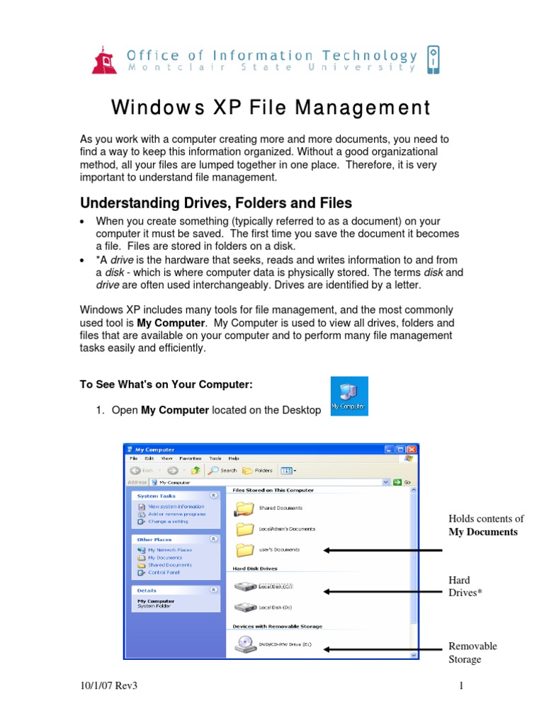Windows XP File Management Computer File Icon