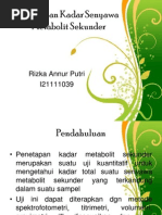 Download Penetapan Kadar Senyawa Metabolit Sekunder by Rizka Icha SN233106920 doc pdf