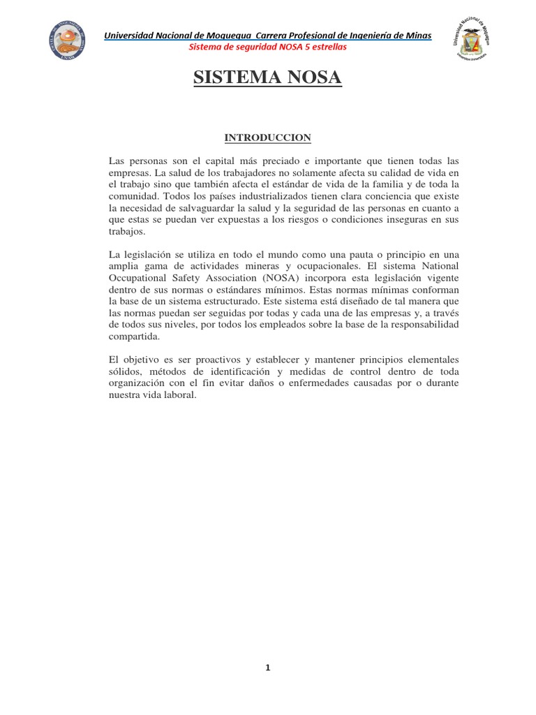 Sistema de Seguridad NOSA en Minería | PDF | Minería | Factores humanos ...