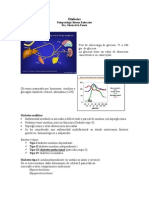 Fisiopatología Endocrina Diabetes