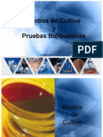 Medios de Cultivo y Pruebas Bioquimica 1225658128608610 9