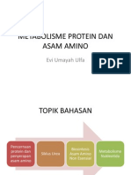 Pencernaan Protein Dan Penyerapan Asam Amino