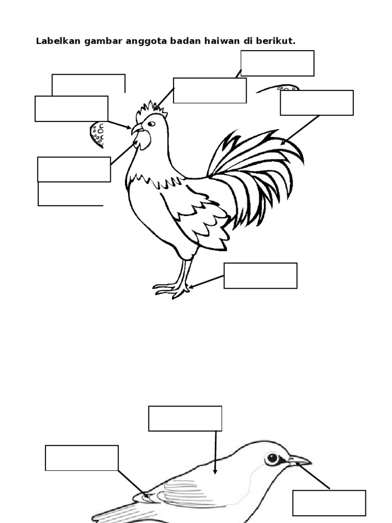 Bress Gali Baka Ayam Penerangan Foto Ulasan